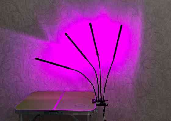 Фитолампа для растений полного спектра (4 лампы) Донецк