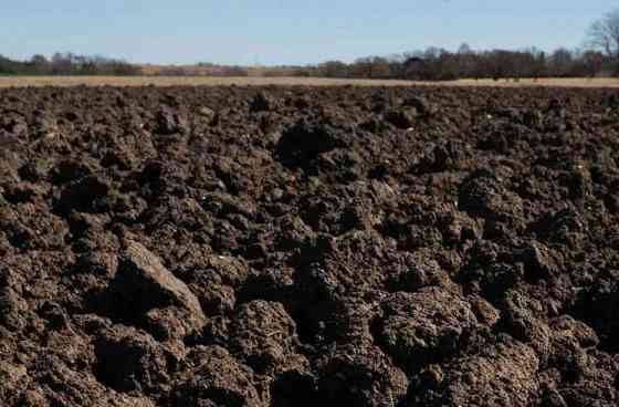 Продаётся почти даром 500 гектар пахатных угодий чистого чернозёма и база 2.5 га, со всей техникой. Старобешево