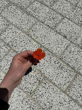 Тротуарная плитка, фэм плитка, бордюры, поребрики Донецк