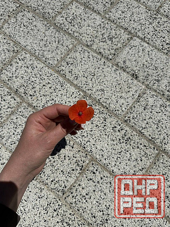 Тротуарная плитка, фэм плитка, бордюры, поребрики Донецк - изображение 3