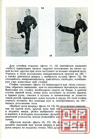 Продам книгу "Ушу эстетика и здоровье - Бусыгин" Донецк - изображение 2