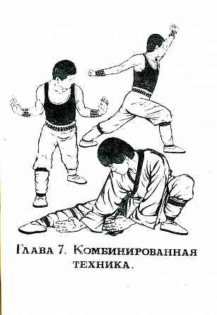 Продам книгу "Входные ворота - Чэнь Яоцзя" Донецк