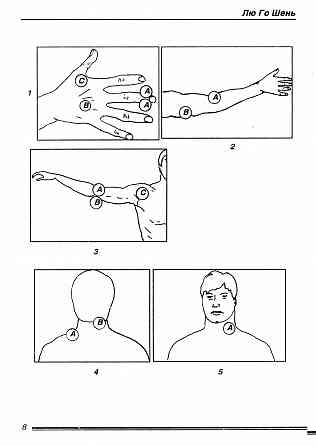 Продам книгу "Циньна: искусство болевых захватов - Лю Го Шень" Донецк