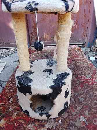 Кошкин дом Донецк