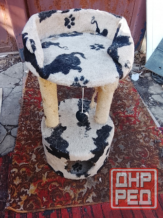 Кошкин дом Донецк - изображение 1