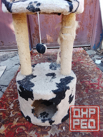 Кошкин дом Донецк - изображение 2