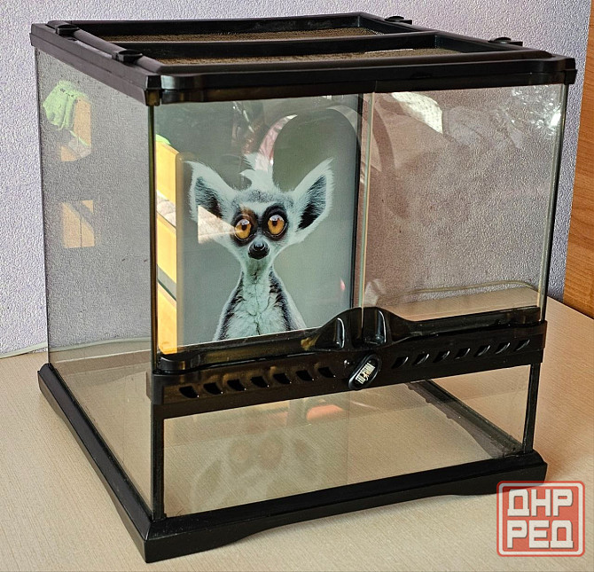 Терариум Донецк - изображение 1