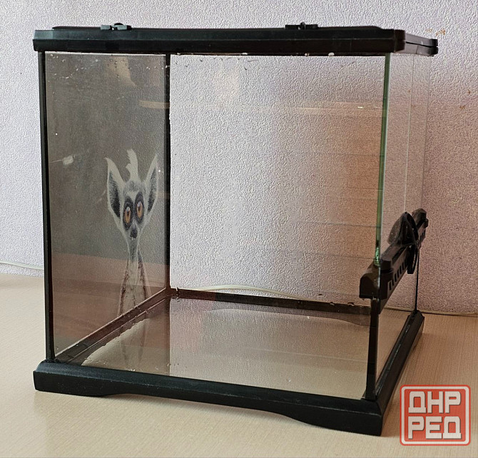 Терариум Донецк - изображение 2