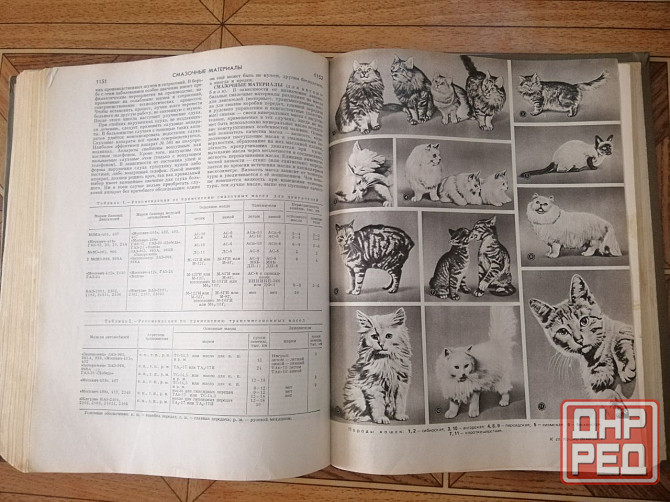 Продам книгу "Краткая энциклопедия домашнего хозяйства" Донецк - изображение 6