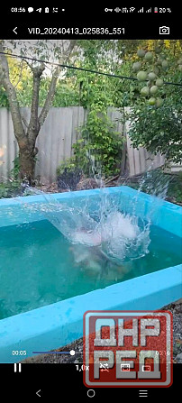 Продам дом посёлок Новорабочий Макеевка - изображение 12