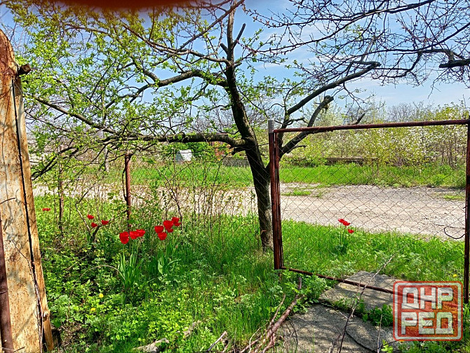 Продам дачу донецкое море Донецк - изображение 5