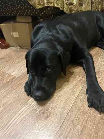 Кабель для вязки Донецк