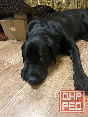 Кабель для вязки Донецк - изображение 1