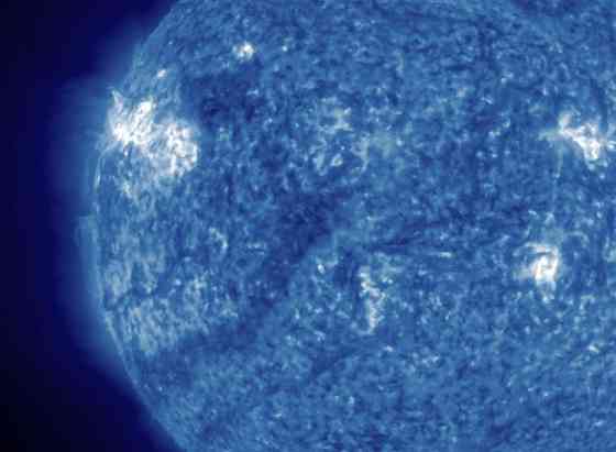 Запретили, заец погиб 2 дерева Донецк