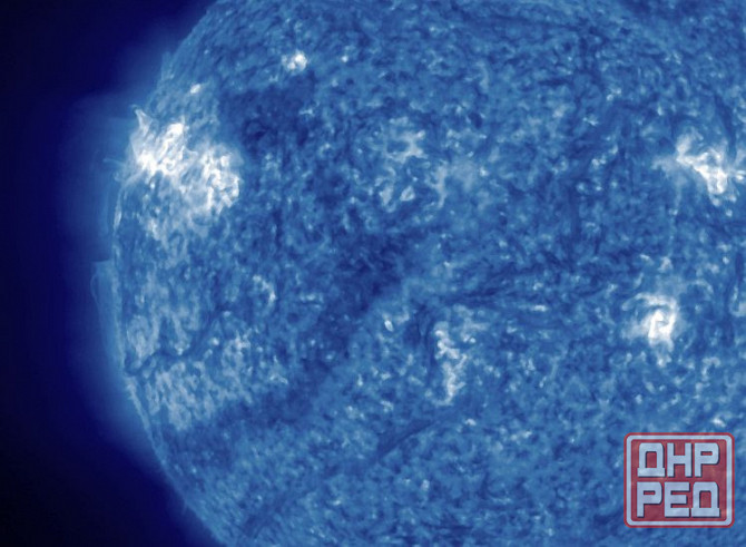 Запретили заец погиб 2 дерева Донецк - изображение 1