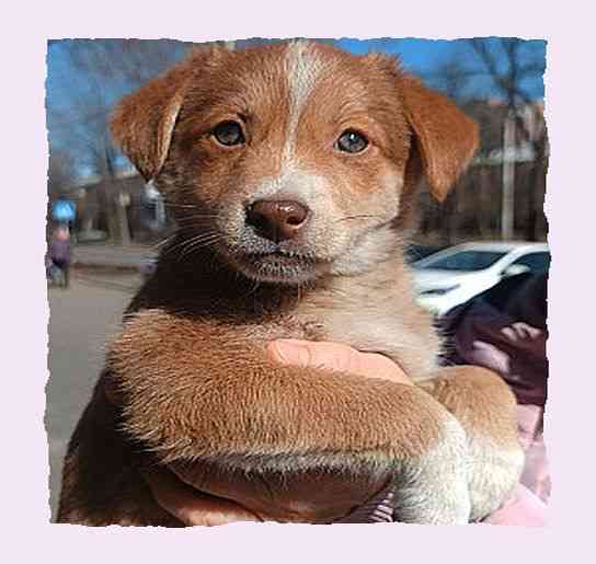 Своя *атмос* обомжироваться' Донецк