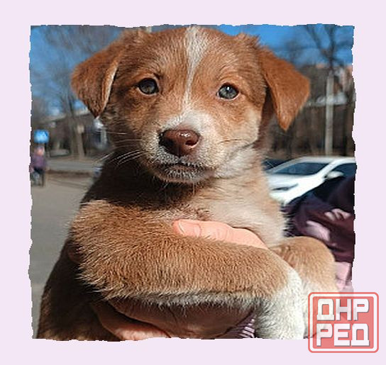 Своя *атмос* обомжироваться' Донецк - изображение 1