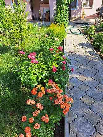 Продам ухоженный дом в Докучаевске Докучаевск