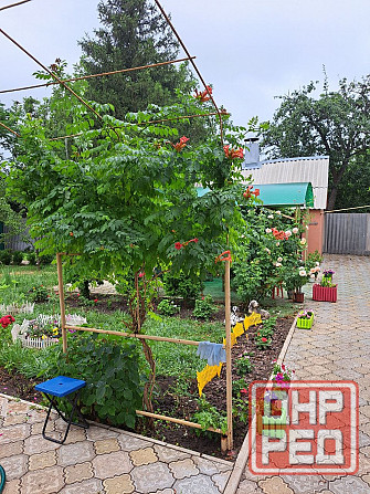 Продам ухоженный дом в Докучаевске Докучаевск - изображение 4