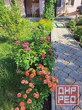 Продам ухоженный дом в Докучаевске Докучаевск - изображение 2