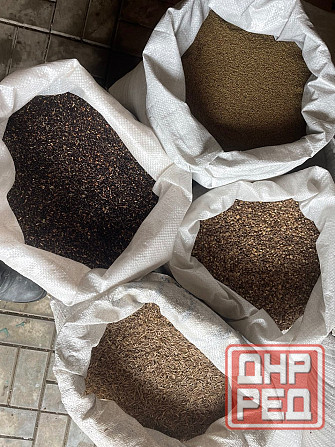 Продам семена суданки Макеевка - изображение 1