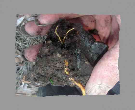 Почему-же Алёна луче сто крат Донецк