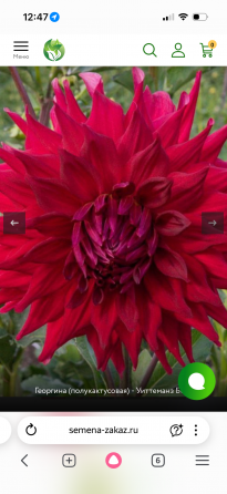 Садовые растения Донецк