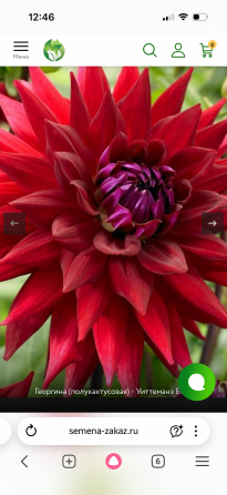 Садовые растения Донецк