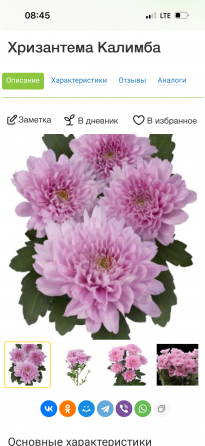 Садовые растения Донецк