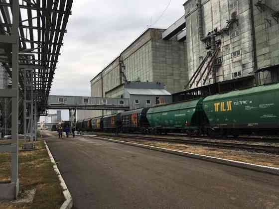 Высококачественное подсолнечное масло оптом от производителя Луганск