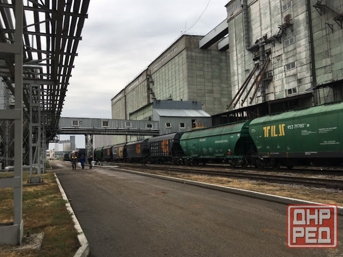 Высококачественное подсолнечное масло оптом от производителя Луганск - изображение 2