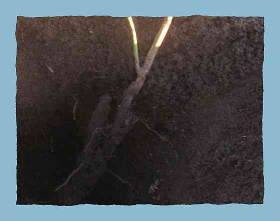 Помочь надо "законы Джарты" Донецк