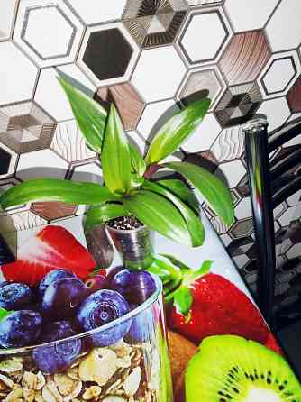 Традексация рэо Макеевка