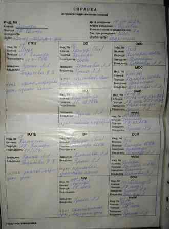 Продажа англо нуб козликов Донецк