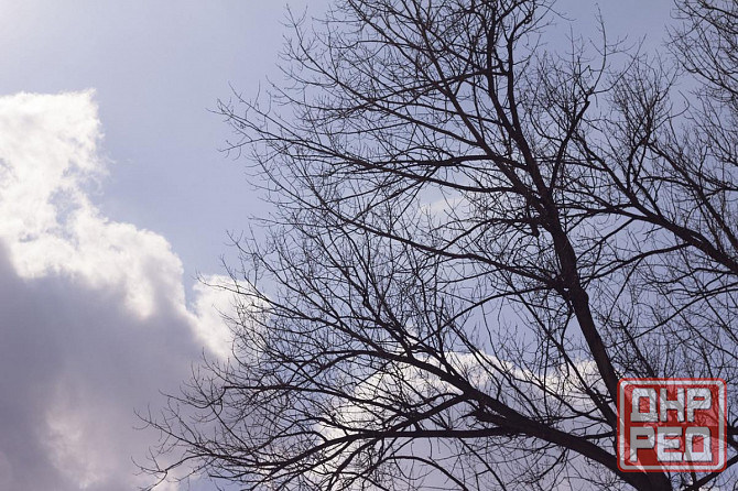 Именно Ахмет, просто так Алах Донецк - изображение 1