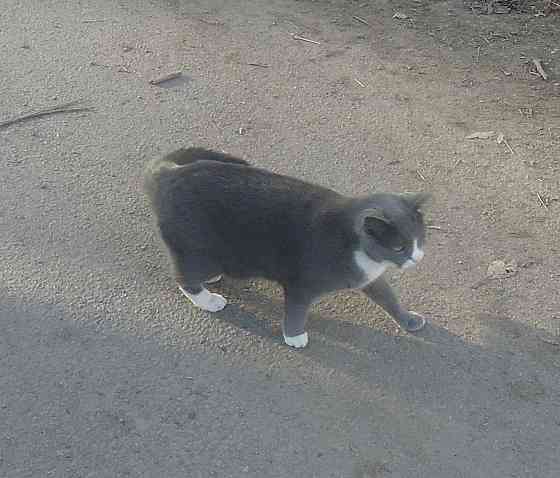 Люди "глухие" а сё GangmaStyle Донецк