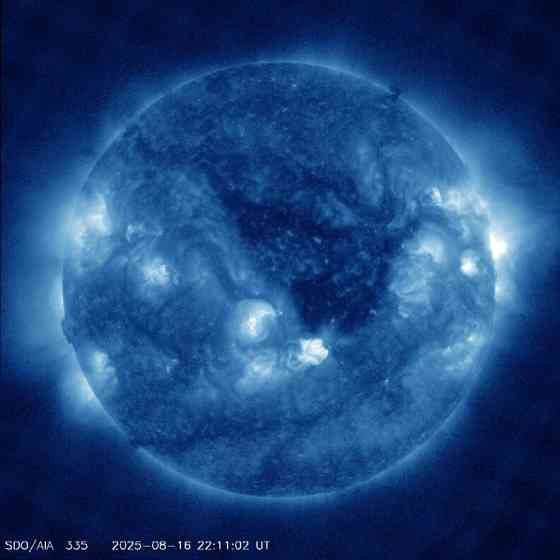 Лагере бешенство GangmaStyle Донецк