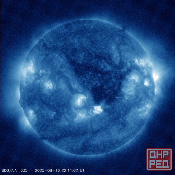 Лагере бешенство GangmaStyle Донецк - изображение 1