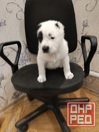 Продам Донецк - изображение 1