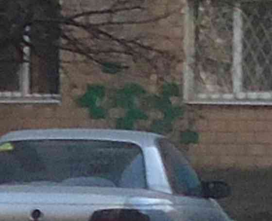 Камеры, а тут крыша #поехала Донецк