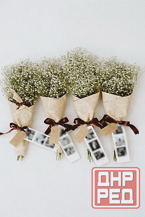 Букеты и композиции из стабилизированных цветов Донецк - изображение 8