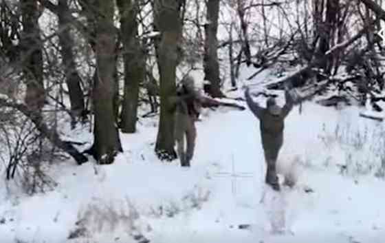 Бутылки вни головой, неплохие Донецк