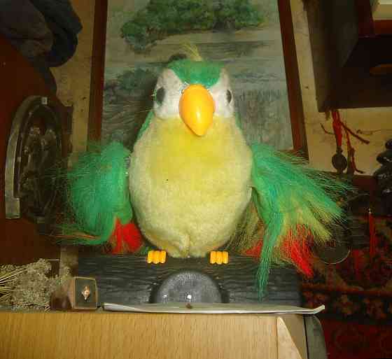 Скажи мне птица очно психоло Донецк