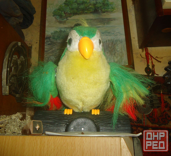 Скажи мне птица очно психоло Донецк - изображение 1