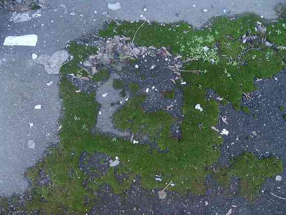 Даже, Могилевская тут #присяд Донецк