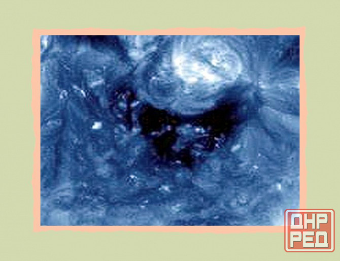 Так и не смог подобрать "слов" Донецк - изображение 1