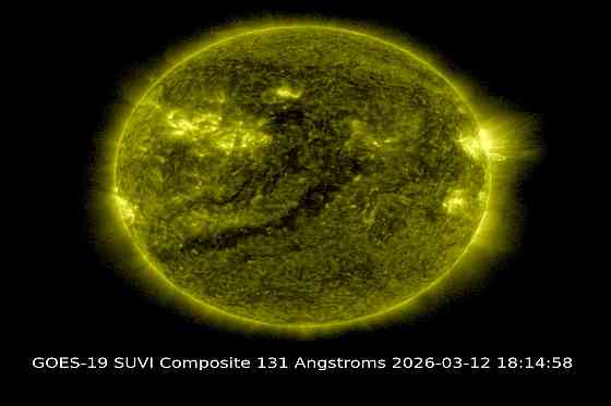 Москал психолог, мясо лифчик Донецк