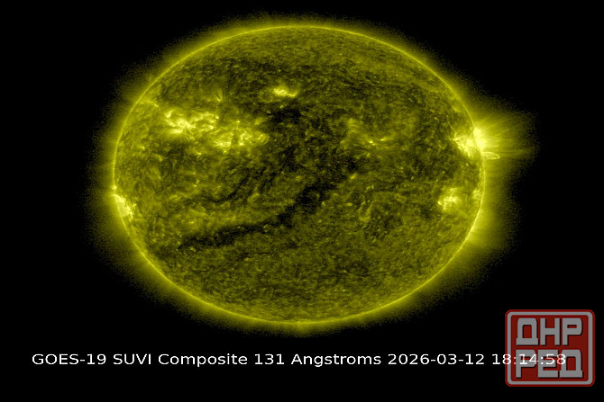 Москал психолог, мясо лифчик Донецк - изображение 1