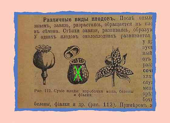 "Богомол" на гитаре, и умер* Донецк