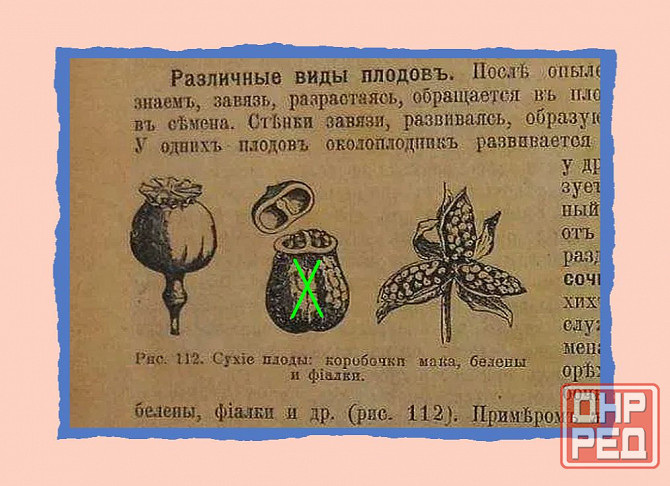 "Богомол" на гитаре, и умер* Донецк - изображение 1